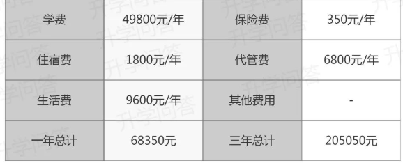 成都市金牛區(qū)實(shí)外高級(jí)中學(xué)擇校費(fèi)多少？