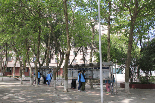 綿陽普明中學(xué)校園風(fēng)采