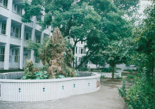內(nèi)江十三中地址在哪？