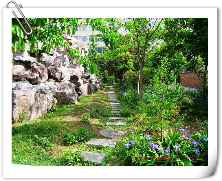 甘洛中學(xué)地址在哪里？