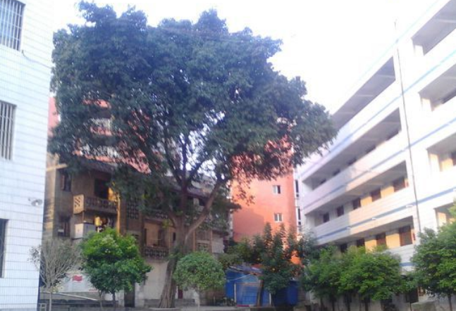 資中縣太平中學地理位置在哪里？