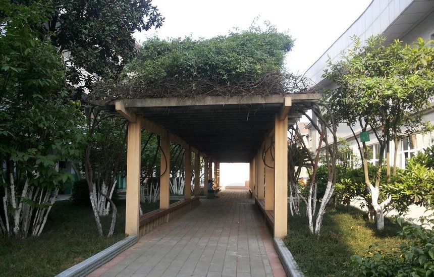 通錦中學(xué)環(huán)境怎么樣？