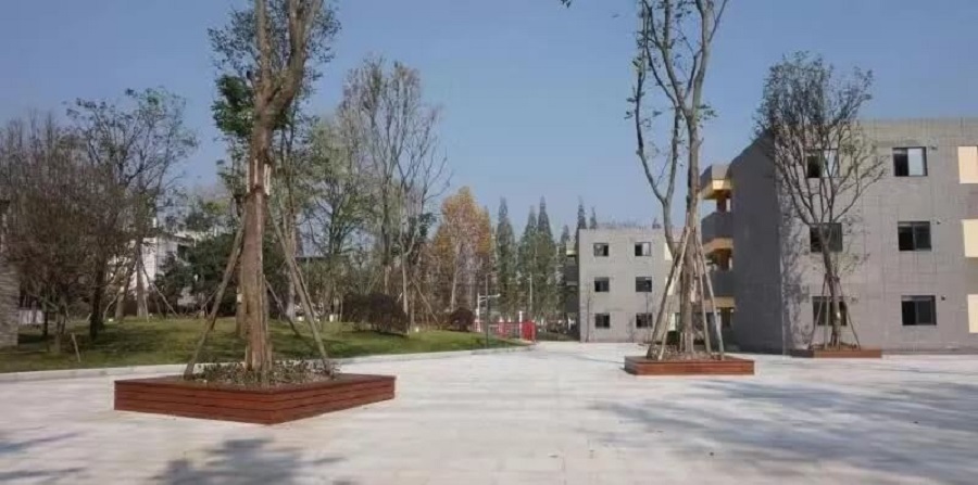 成都綿實(shí)外國語學(xué)校2019年招生公告公布了嗎？