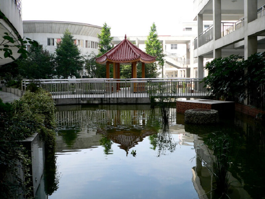 龍泉中學(xué)地址在哪里？