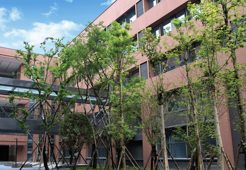 電子科技大學(xué)實驗中學(xué)環(huán)境好不好？