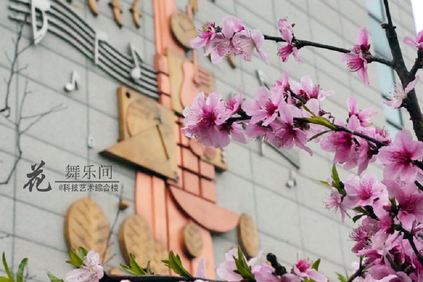 石室天府中學(xué)環(huán)境好不好、怎么樣？