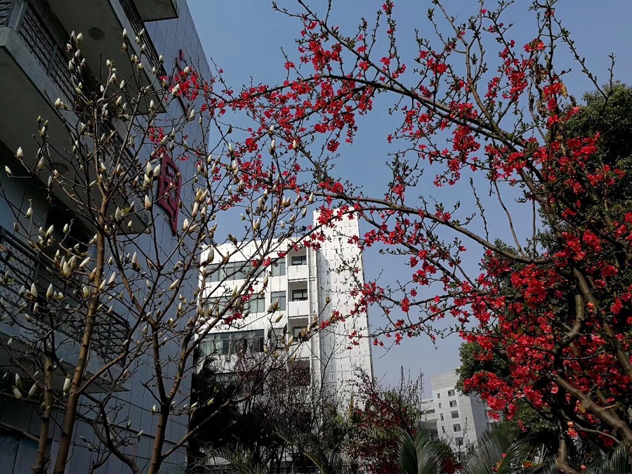 綿陽(yáng)南山中學(xué)教學(xué)質(zhì)量怎么樣？