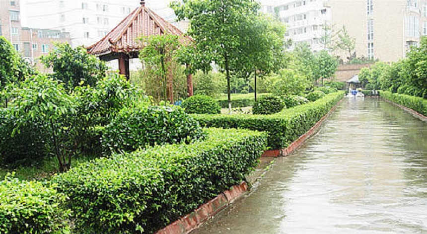 華興中學環(huán)境好不好？