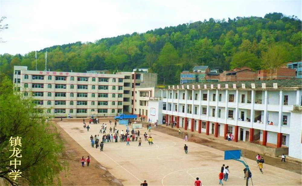 平昌縣鎮(zhèn)龍中學(xué)2020年學(xué)費(fèi)多少錢？
