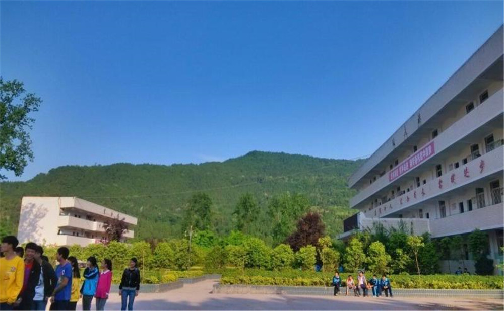 金山中學(xué)2020年學(xué)校招生計劃在哪兒看？