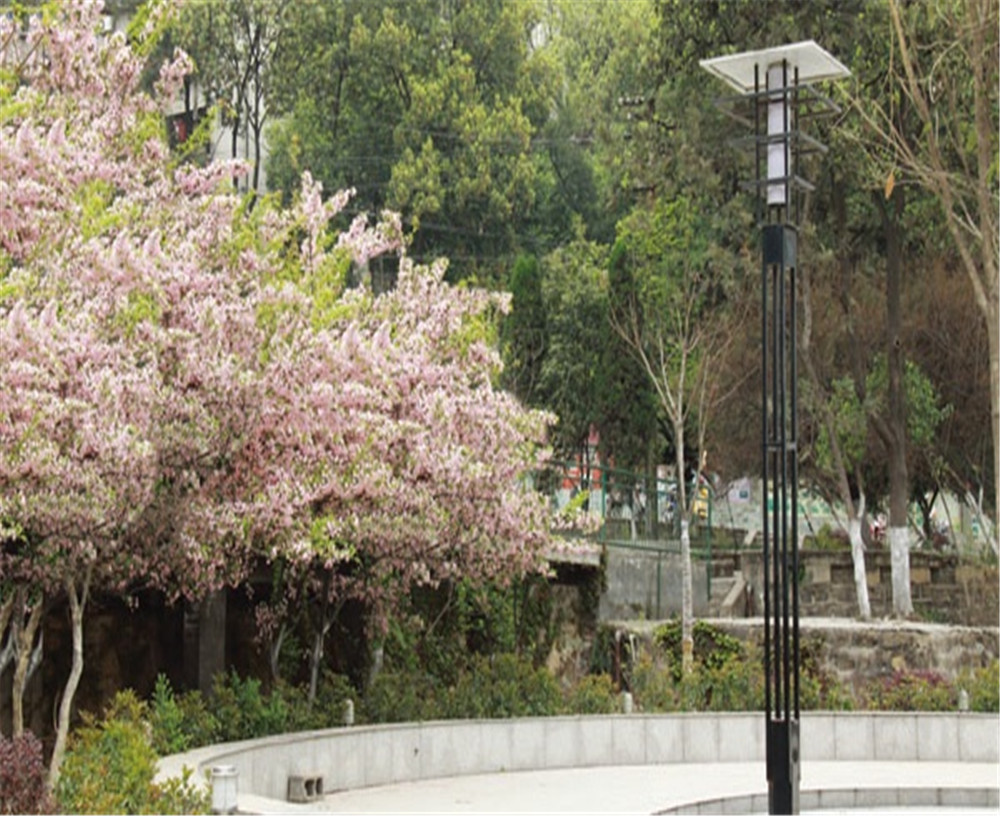廣元實驗中學學校招辦電話是多少？