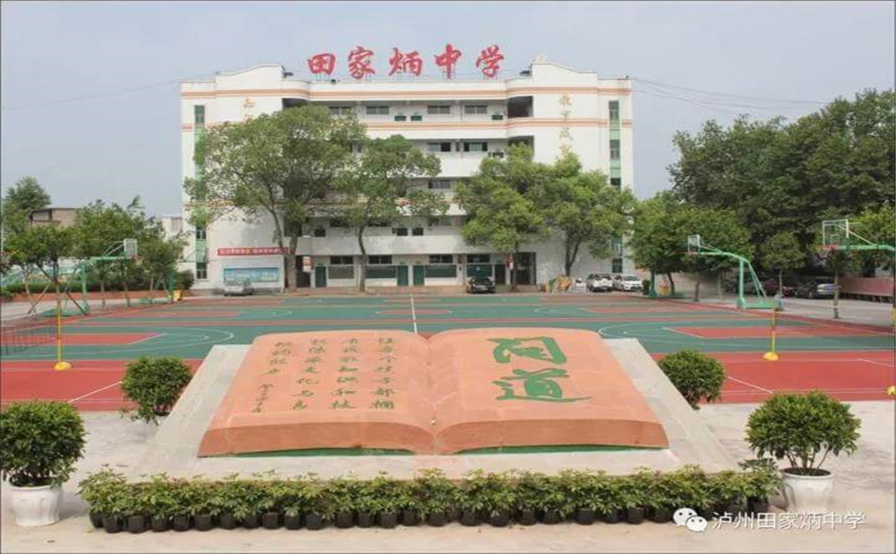 瀘洲市田家炳中學(xué)是公辦學(xué)校嗎？
