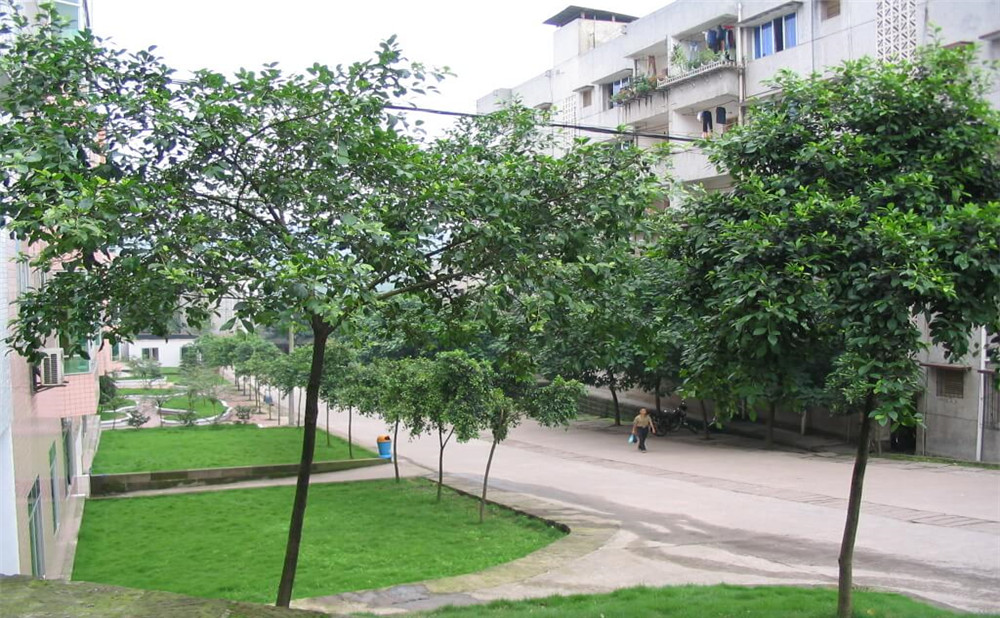 瀘州市納溪區(qū)護國中學(xué)地址在哪里？