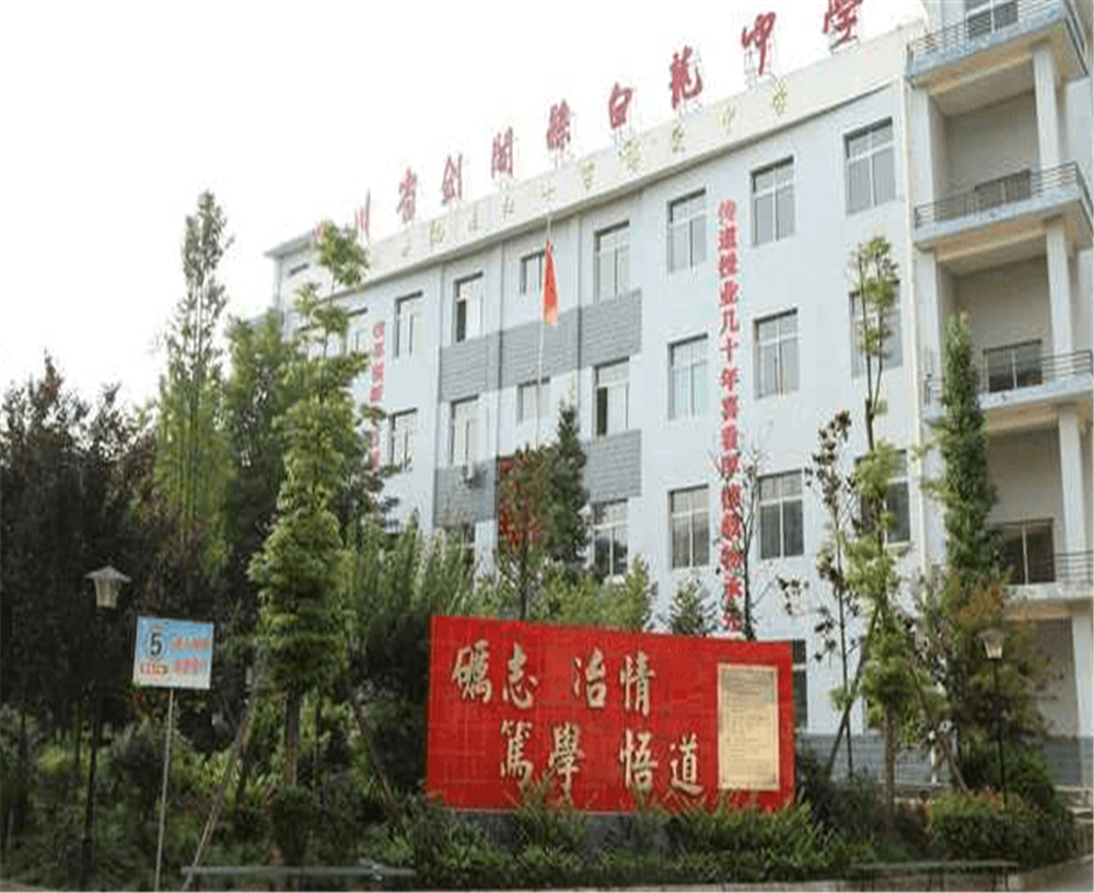 白龍中學(xué)2020年招生計(jì)劃公布了嗎？