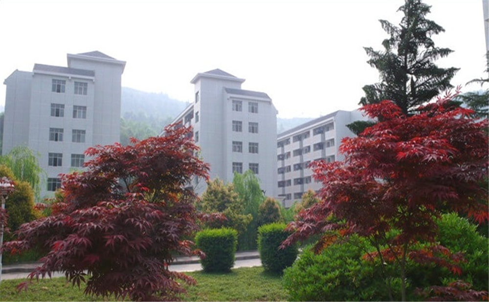 巴中中學(xué)學(xué)校詳細(xì)地址在什么地方？