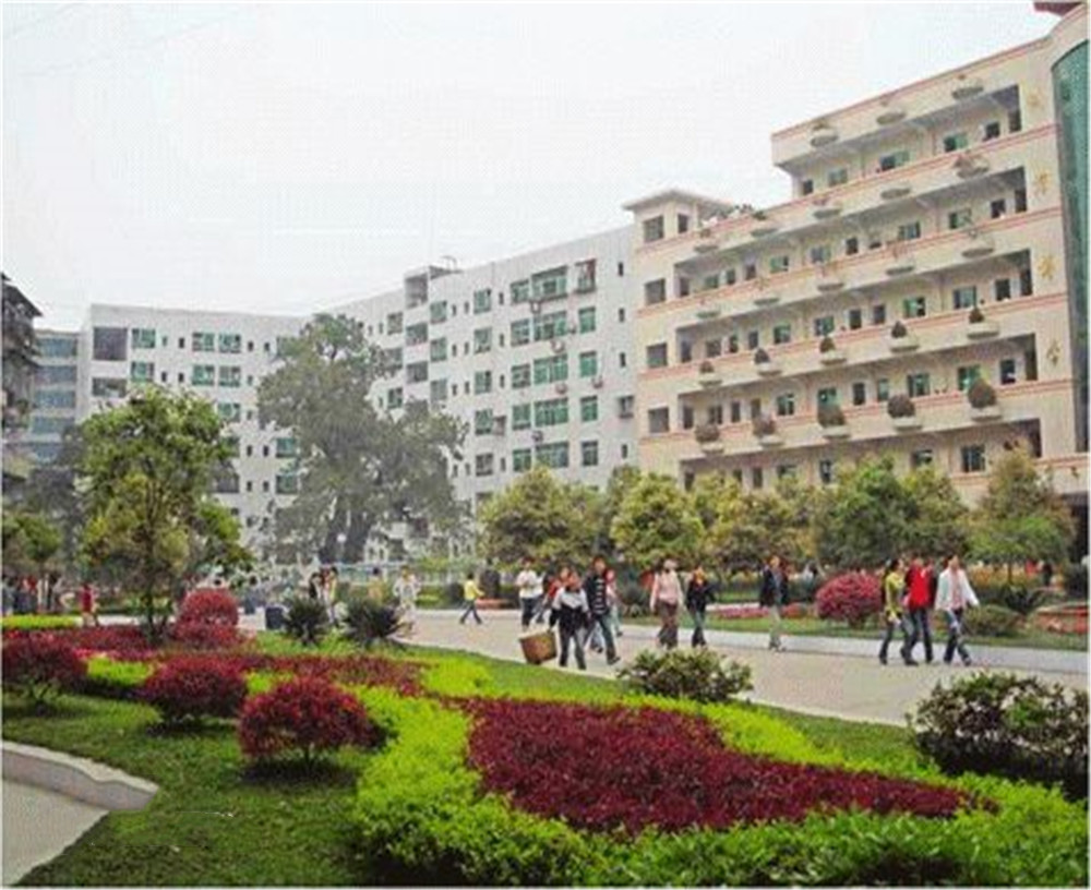 渠縣第二中學(xué)學(xué)校2020年的錄取分?jǐn)?shù)公布了嗎？