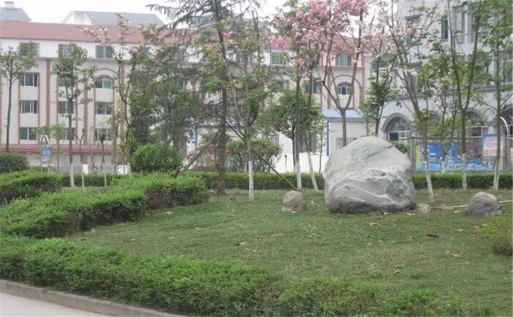 大英縣育才中學(xué)2020年的收費(fèi)標(biāo)準(zhǔn)是多少？