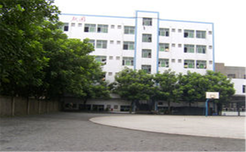 資中縣第三中學(xué)學(xué)校環(huán)境怎么樣？