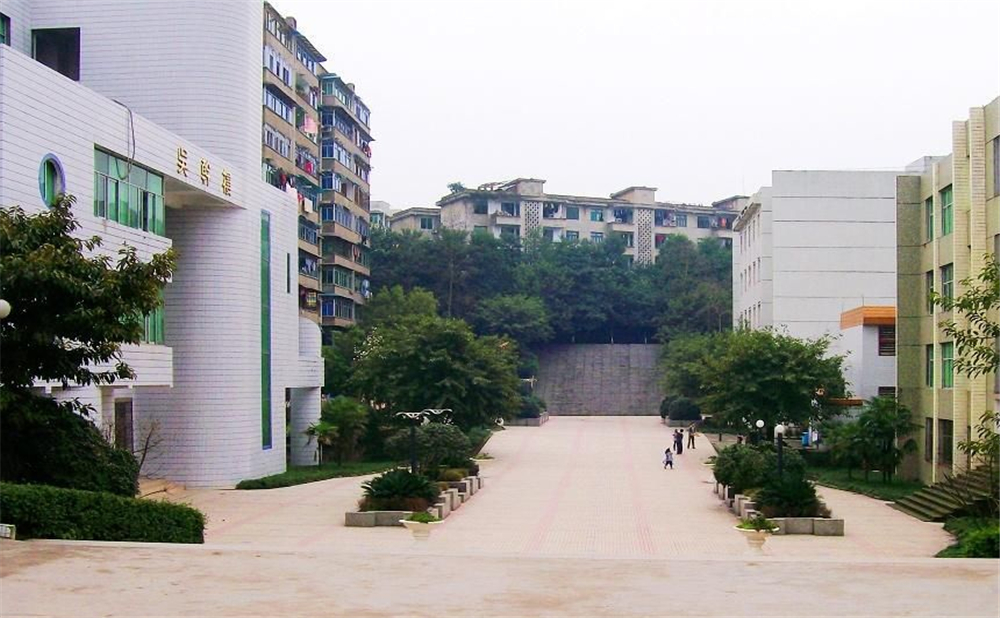 鄰水實(shí)驗(yàn)學(xué)校2020年的招生簡章公布了嗎？