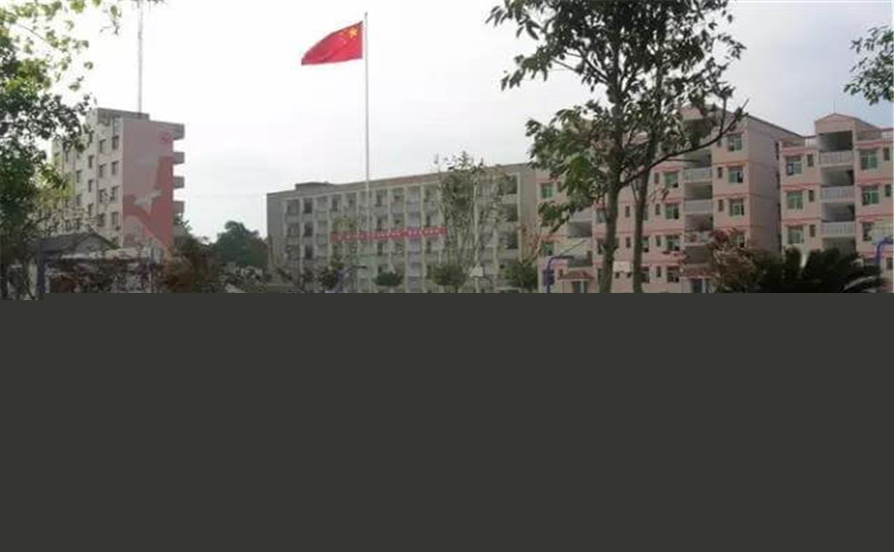 內(nèi)江市第十一中學學校環(huán)境怎么樣？