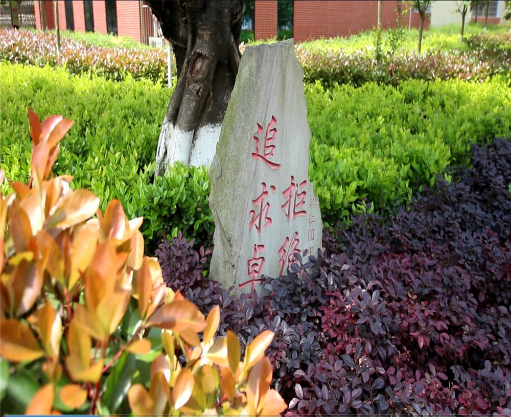 達(dá)州銘仁園中學(xué)2020年中考錄取分?jǐn)?shù)線多少分？
