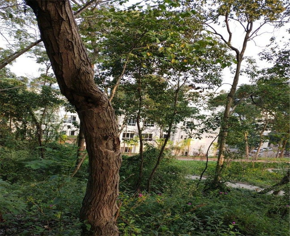 蒲家中學(xué)的詳細(xì)地址在什么地方？