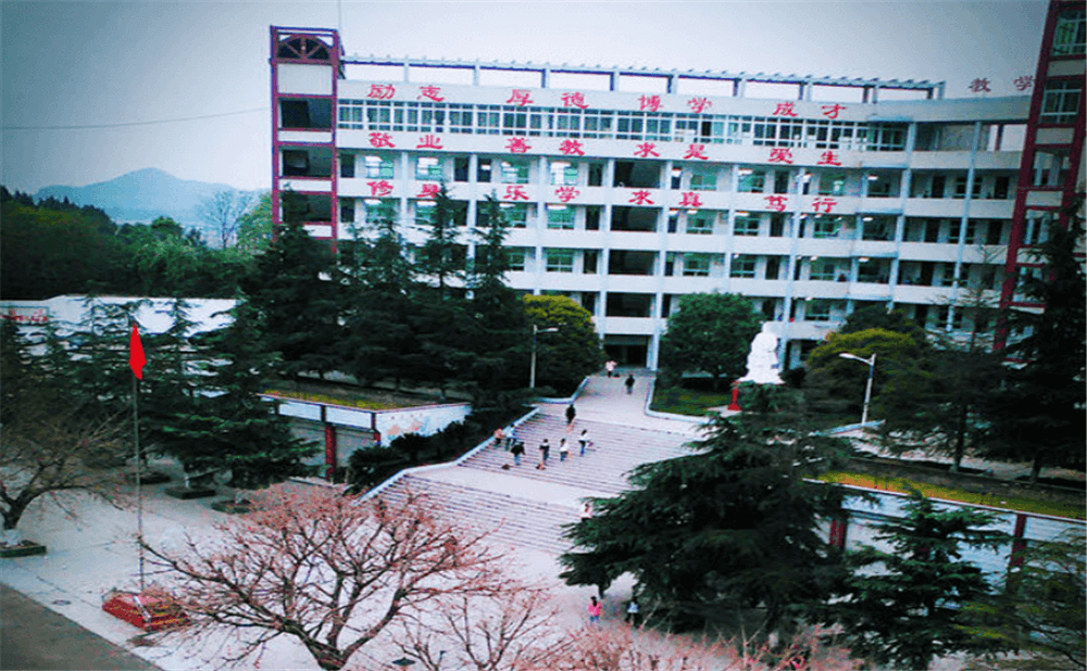 南部市伏虎中學學校詳細地址在什么地方？