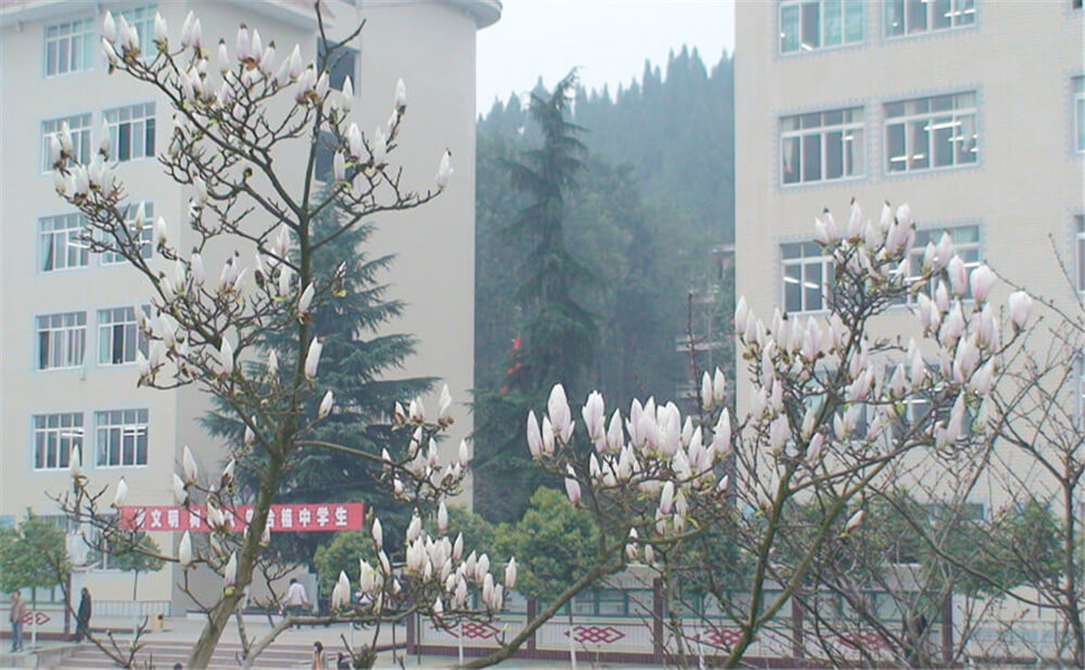 建興中學2020年中考錄取分數(shù)線多少分？