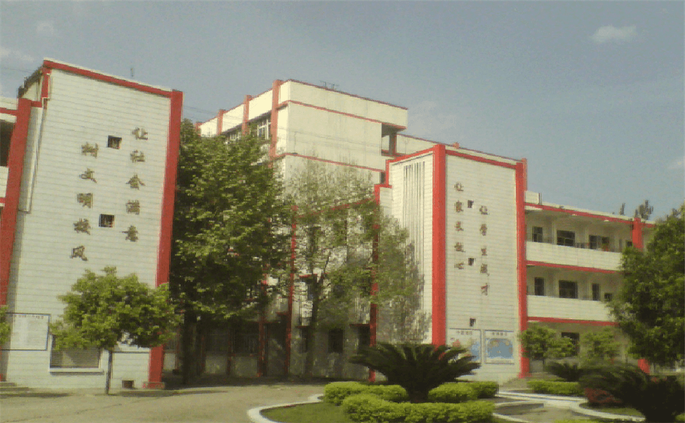 蓬安縣楊家中學(xué)學(xué)校環(huán)境怎么樣？