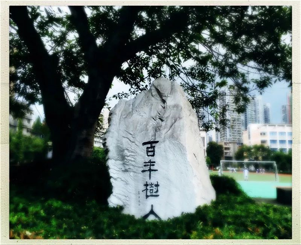 四川大學(xué)附屬中學(xué)2020年的錄取分?jǐn)?shù)線是多少？