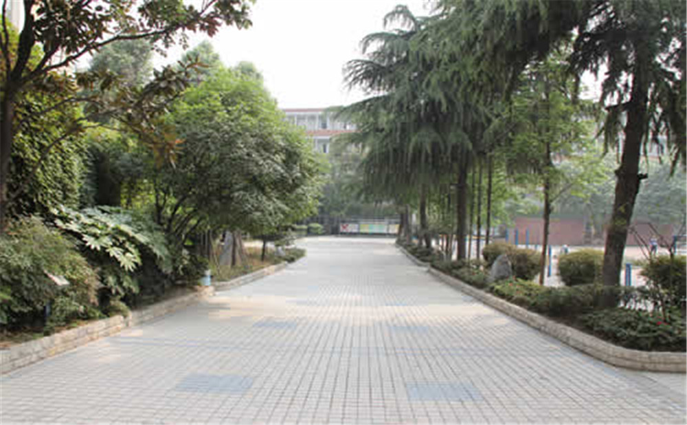 成都列五中學(xué)每年的學(xué)費(fèi)是多少？