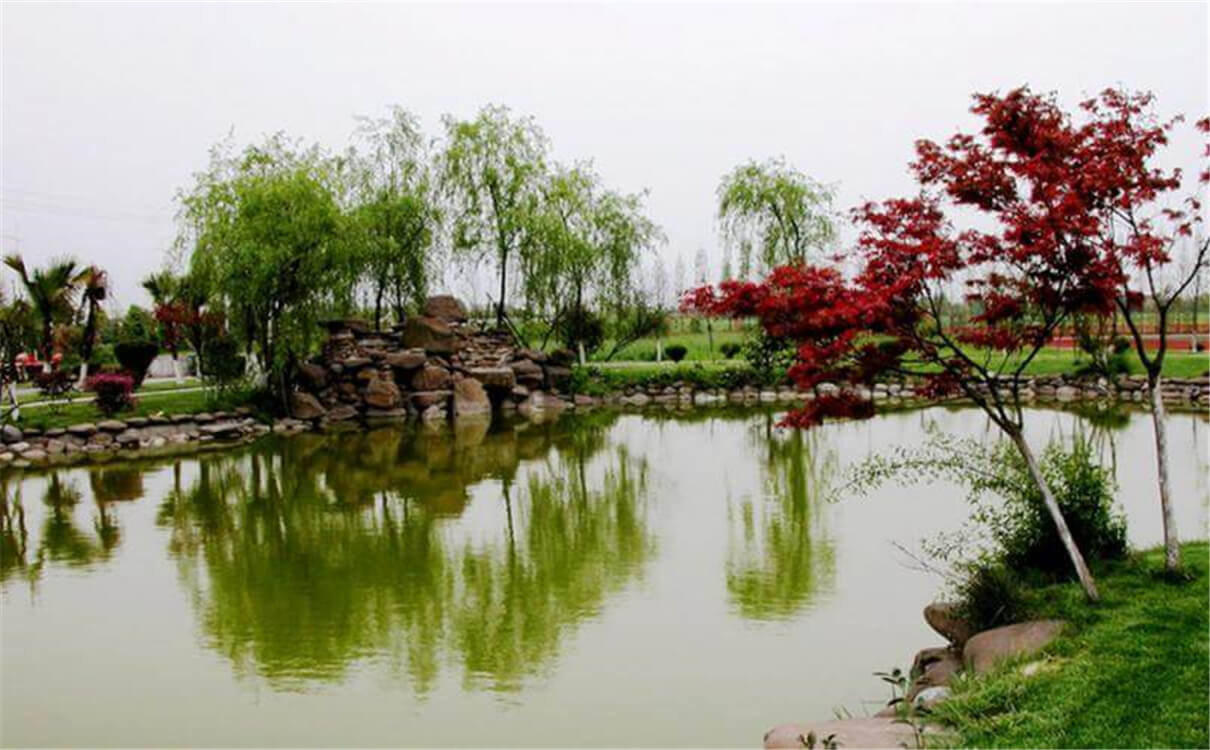 成都七中實(shí)驗(yàn)學(xué)校高中部的錄取分?jǐn)?shù)是多少？