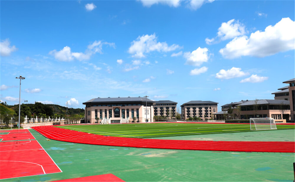蒲江中學(xué)2020年招生錄取分?jǐn)?shù)線是多少？