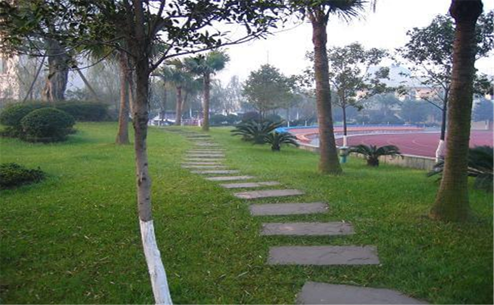 成都石室佳興外國(guó)語(yǔ)學(xué)校外招生一年的學(xué)費(fèi)是多少錢(qián)？