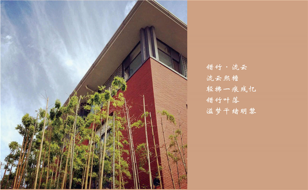 成都七中的高考升學(xué)率是多少？