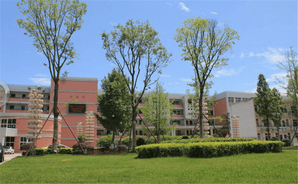 成都市籍田中學(xué)的老師怎么樣？