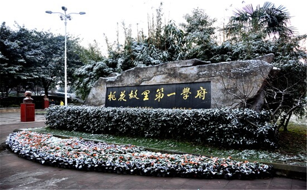 成都市龍泉中學(xué)的高考升學(xué)率是多少？