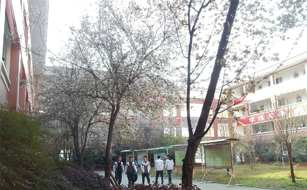 崇慶中學的去年錄取分數(shù)線是多少分？