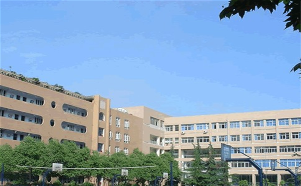 成都大學附屬中學的學費是多少錢？