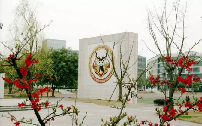 成都實(shí)驗(yàn)外國(guó)語(yǔ)學(xué)校（西區(qū)）2020年的招生標(biāo)準(zhǔn)是什么？