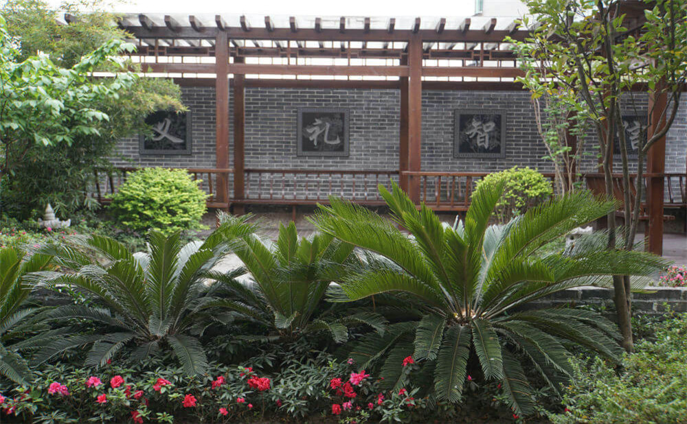 成都八中的升學(xué)率是多少？