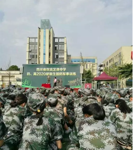 雙流藝體中學的升學率是多少？