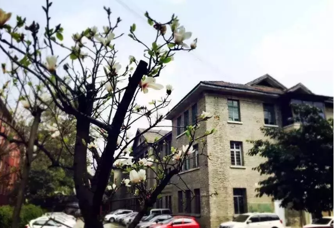 通錦中學的宿舍怎么樣？