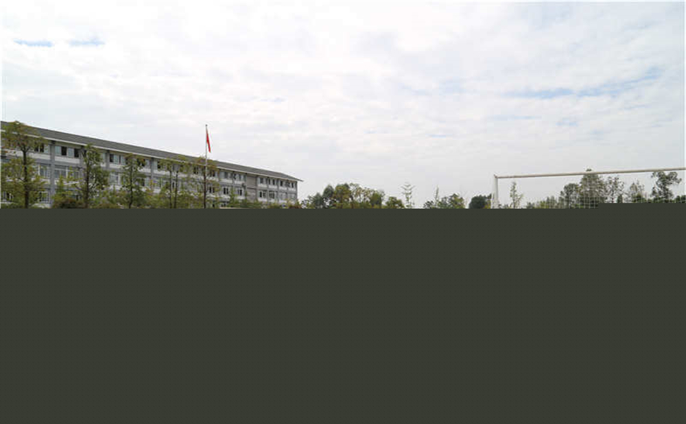 平樂(lè)中學(xué)的升學(xué)率是多少？