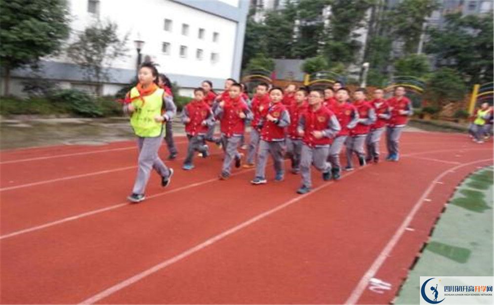 2020成都市泡桐樹中學(xué)的升學(xué)率有多少？