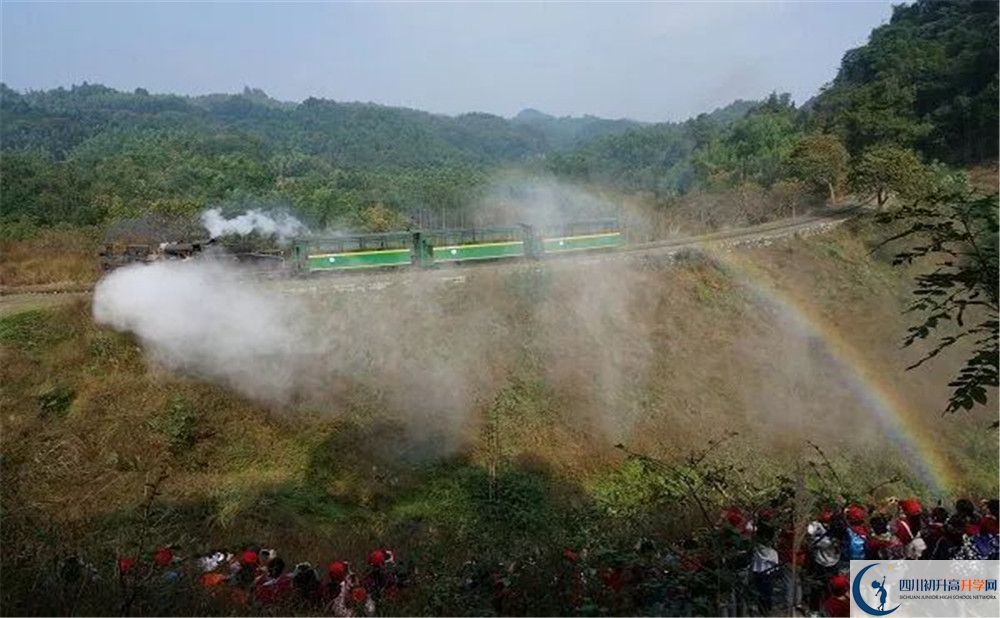 考成都市泡桐樹中學分數(shù)線是多少？