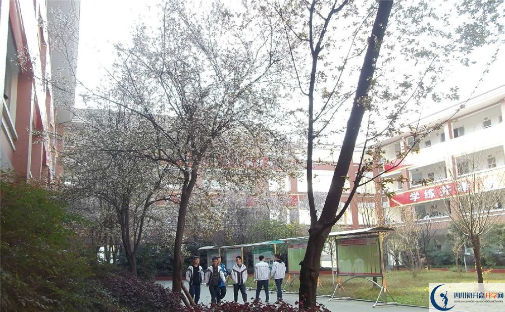 成都三十六中高中歷年來的分?jǐn)?shù)線是多少分？