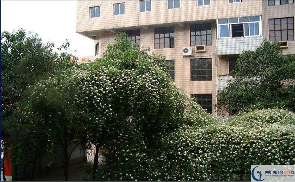 石室聯(lián)合中學(xué)蜀華分校2020年錄取條件是什么？