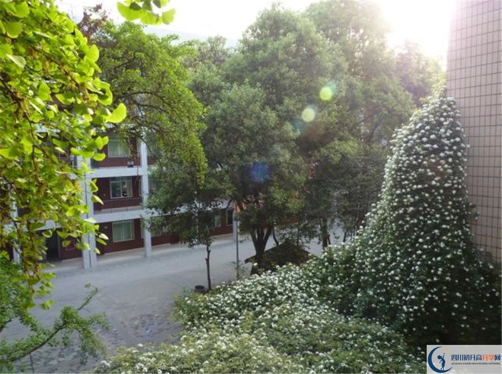 四川師范大學(xué)實驗外國語學(xué)校2020年錄取條件是什么？