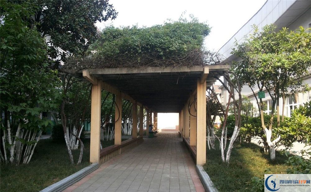 通錦中學(xué)2020年清華北大錄取學(xué)生有多少？